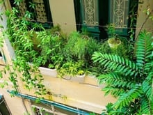Hình ảnh Bán Trang Chủ MB66.COM / Đăng Ký Tặng 66K tầng 4 Hàng Vôi, 75m2, sổ đỏ,2 ngủ, 6.9 tỷ