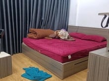 Hình ảnh Bán nhà Tam Trinh, 30m2, 5 tầng, 50m ra phố, 4.75 tỷ