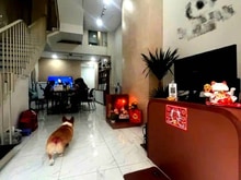 Hình ảnh 24110574-Bán nhà Nguyễn Thượng Hiền P5, 40m2, HXH, 5tầng 4PN, 7.4ty TL