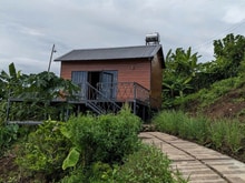 Hình ảnh Đất Ngộp Lô Góc Dầu Giây - 150m2 Thổ Cư, Giá Chỉ 700 Triệu!