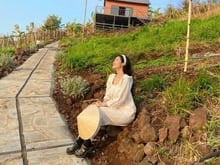 Hình ảnh 🌳1312m2 Đất Vườn View Đồi - Thích Hợp Nghỉ Dưỡng & Mb6623 phiên bản mới nhất 🌳
