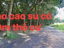 Hình ảnh Cần bán 5010m, có 300m thổ cư, xã An Viễn, huyện Trảng Bom