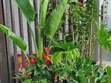 Hình ảnh Nhà đẹp trung tâm, Nguyễn văn Đậu, Bình Thạnh, giá chỉ 5.99 tỷ, 44m² -