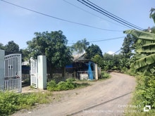 Hình ảnh Cần bán Nhà + Trại nuôi Chim Cút 2000m, xã Sông Trầu, huyện Trảng Bom