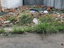 Hình ảnh Cần bán gấp đất Bùi Quốc khánh nhựa thông chỉ 2ti3