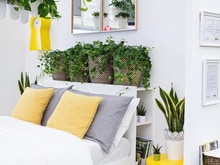 Hình ảnh Nhà nở hậu Huỳnh Mẫn Đạt, Bình Thạnh, 50m², nhà kiên cố