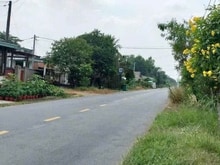 Hình ảnh Bán 1000m² đất mặt tiền nguyễn thị rành, x phú mỹ hưng, h củ chi giá