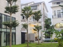 Hình ảnh Bán biệt thự Phú Mỹ Hưng Quận 7, 194m2 đất, ngang 20m, 3 tầng, 4PN