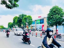 Hình ảnh Bán nhà mặt tiền rông nở hậu 856m2 đất QUANG TRUNG p10 Gò Vấp