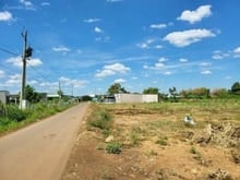 Hình ảnh sang gấp1440M2 đất ở ngay chợ, trường học dân đông về xây ở. giá 195tr
