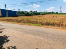 Hình ảnh Bán Gấp 50x45=2250m2 Shr Đường Nhựa, Sát Chợ Ngay Thị Xã Giá 38tr/Mn