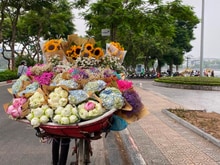 Hình ảnh Bán nhà 6 tầng thang máy Thuỵ Khuê, Tây Hồ, gần phố, ở ngay đón Tết