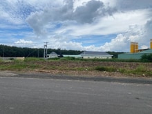 Hình ảnh Kẹt tiền cần bán 1000m2 đất ngay cổng khu công nghiệp. Giá 190tr
