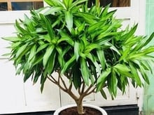 Hình ảnh Cực hiếm 32,2m² Nở Hậu - 2 Mặt Hẻm Ô Tô, Trung Tâm Phú Nhuận