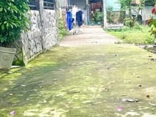 Hình ảnh Cần bán lô đất Thổ cư, xã Bình Minh, huyện Trảng Bom
