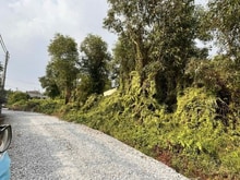 Hình ảnh Bán 1000m2 đất Thổ cư BÌNH MỸ. Giá: 7 tỷ