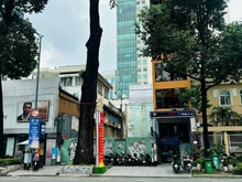 Hình ảnh Siêu RẺ 180tr! Cho thuê đất trống 268m2 Đ. Phạm Ngọc Thạch Q.3.