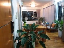 Hình ảnh cho thuê Ehome 5 1pn1wc giá 9tr ngay trung tâm Q7