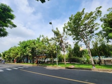 Hình ảnh BÁN NHÀ MT HOÀNG SA - 7 TẦNG- - có thang máy, PCCC, HĐ thuê khoán sẵn