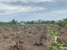 Hình ảnh Cần bán 4800m, xã Sông Thao, huyện Trảng Bom