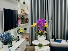 Hình ảnh Chờ thuê Trang Chủ MB66.COM / Đăng Ký Tặng 66K Thái An, DT 45m2, 1PN, Full NT giá 7tr/tháng