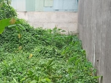 Hình ảnh Bán  Đất  Trường Thọ, 75M2, Giá 5.6 TỶ