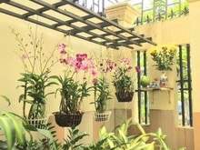 Hình ảnh Bán biệt thự himlam trường thọ 100m², 4 tầng, chỉ 12tyxx