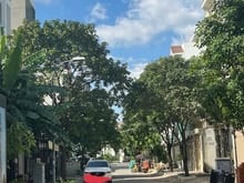Hình ảnh Cho thuê đất trống khu Trần Lựu Lương Định Của