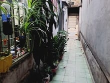 Hình ảnh MTKD Đỗ Bí, Phú Thạnh, Tân Phú 124m2 nhà C4 chưa giao dịch lần nào