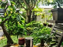 Hình ảnh Bán căn nhà phố Khu compound Melosa Garden Khang Điền Quận 9 tặng NT