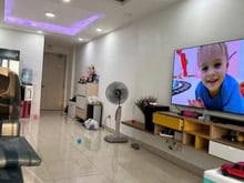 Hình ảnh Chung cư Lotus, Trịnh Đình Thảo, TP: 3p ngủ, NT, 2wc 90m2 11tr/tháng