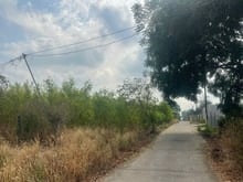 Hình ảnh BÁN GẤP đất Nhơn Trạch gần vđ 3, 25C ra sân bay, thổ cư,giá rẻ 3ty.GỌI