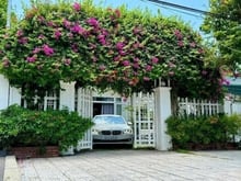 Hình ảnh Biệt Thự Hẻm VIP Nguyễn Văn Trỗi P1 Tân Bình -12m*17m- 2Tầng - 50Tỷ