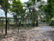 Hình ảnh Bán 5009 m2 đất sản xuất và xây dựng đường Mỹ Hạnh, Đức Hòa, Long An