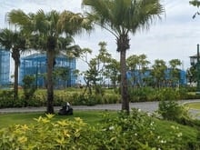 Hình ảnh Bán biệt thự siêu chất tại Sun Urban City lựa chọn Mb6696 cá cược trực tuyến đẳng cấp!