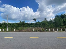 Hình ảnh Ra Tết Cần Vốn Mở Quán Ăn Bán 5X50=250M2 ĐẤT T.CƯ Ngay KCN. Gía 480TR