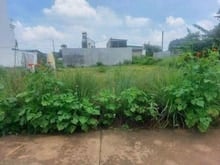 Hình ảnh bán đất sổ riêng full hồng 200m2 xã tây hòa 05