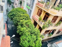 Hình ảnh Bán nhà HXH Cộng Hoà 70m 4 lầu 13,2 tỷ.
