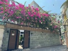 Hình ảnh 𝐍𝐇À 𝐋Ê 𝐕Ă𝐍 𝐒Ỹ 🍃𝐕𝐈𝐋𝐋𝐀 🍑𝐂Ó 𝐒Â𝐍 🌸𝟏𝟒𝐱𝟏𝟖𝐌