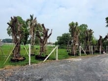 Hình ảnh Bán lô đất đường xe tải quy hoạch kdc giá rẻ cho khách Trang MB66.COM Chính Thức - MB 66 Uy Tín