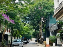 Hình ảnh Hiếm! Ngọc Thụy, Long Biên, Căn góc 50m, Ô tô đỗ cửa, Vài bươc ra Phố
