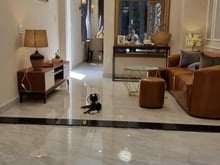 Hình ảnh Về quê bán nhà Đ. Nguyễn Sỹ Sách, Q. Tân Bình, 64m2, SHR , Giá 1tỷ102