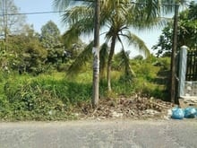 Hình ảnh Bán 1531m2 đất mặt tiền đường Bông Vang, Phong Điền, Cần Thơ - 12.3T