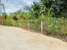 Hình ảnh bán 2 sào đất có 100m2 thổ cư tại xã sông thao, trảng bom