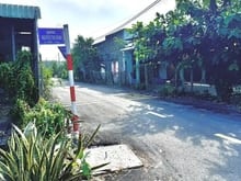 Hình ảnh Đất trồng cây lâu năm mặt tiền đường nhựa 12m, nằm sát khu dân cư