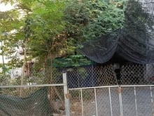 Hình ảnh Đất mặt phố Phú Lương- Quốc lộ 21B, 40m kinh doanh vỉa hè