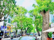 Hình ảnh ✅ Bán nhà MT TRẦN VĂN SẮC, P.TĐ, Q.2 DT 17.5mx24m Giá 93 tỷ