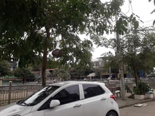 Hình ảnh Bán nhà phố kinh doanh ở Kim Chung, Đông Anh 88m2, mt 5m, 16.5 tỷ