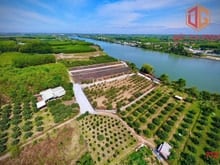 Hình ảnh Bán nhà vườn ven sông Đồng Nai xã Bình Lợi, sổ hồng 1607m2 giá 6.7 tỷ