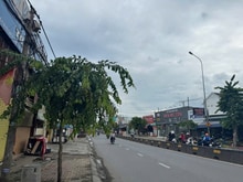 Hình ảnh Bán nhà mặt tiền đường Hà Huy Giáp giá rẻ  kinh doanh đa ngành nghề